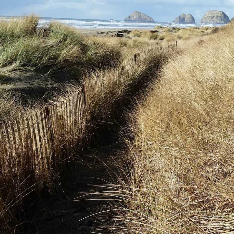 The path to the beach at The Capes...(Photo courtesy of Jenny Green)