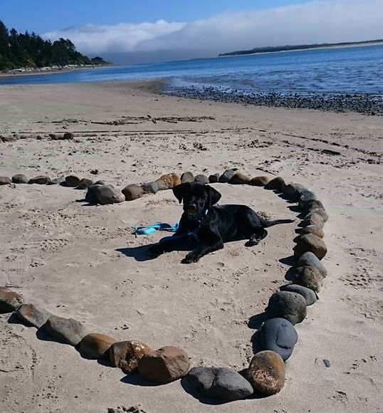 A beautiful day in Netarts Bay...(photo courtesy of Jenny Green)