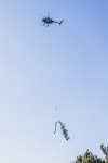 _TM_6680r.jpg