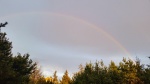 rainbow.jpg